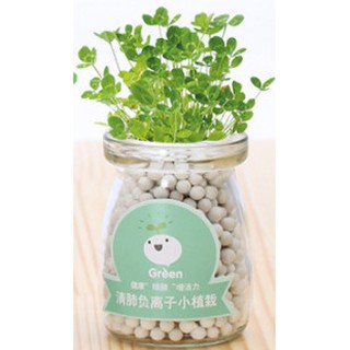 CHẬU CÂY THỦY TINH MINI CACBON TRÒN KÈM HẠT GIỐNG CỎ MAY MẮN