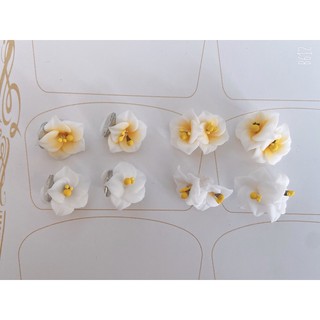 Hoa bột nail tay chân