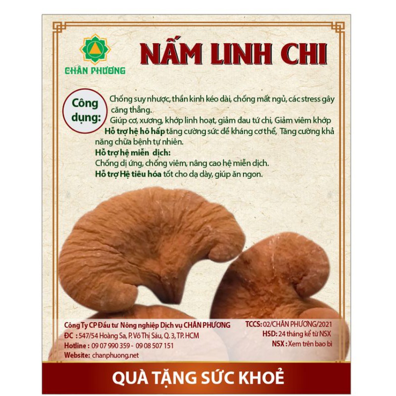 Nấm linh chi Chân Phương hộp 500gr