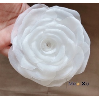 Hoa hồng Trắng Voan Cài áo Perla ci
