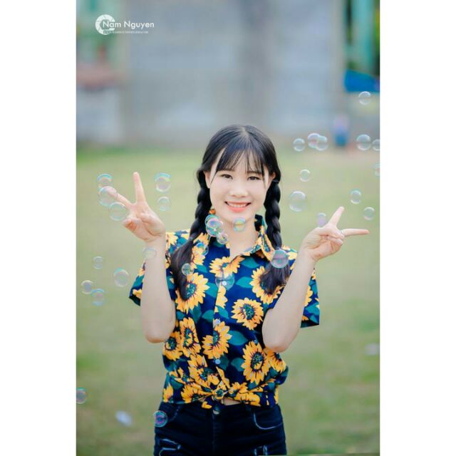 Combo bộ hoa huong duong