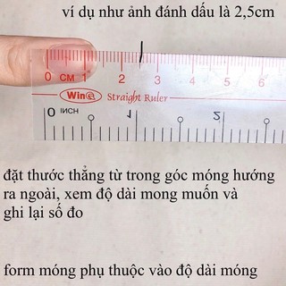 Nail box , móng up sẵn