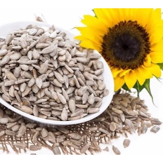Hạt hướng dương 100g
