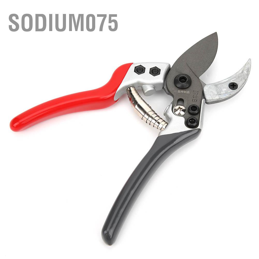 Có thể bán buôn Kềm cắt tỉa cành cây bằng thép sử dụng làm vườn Sodium075 Hàng giao ngay