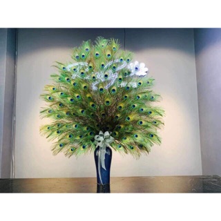 30 lông công phong thủy 80-90cm