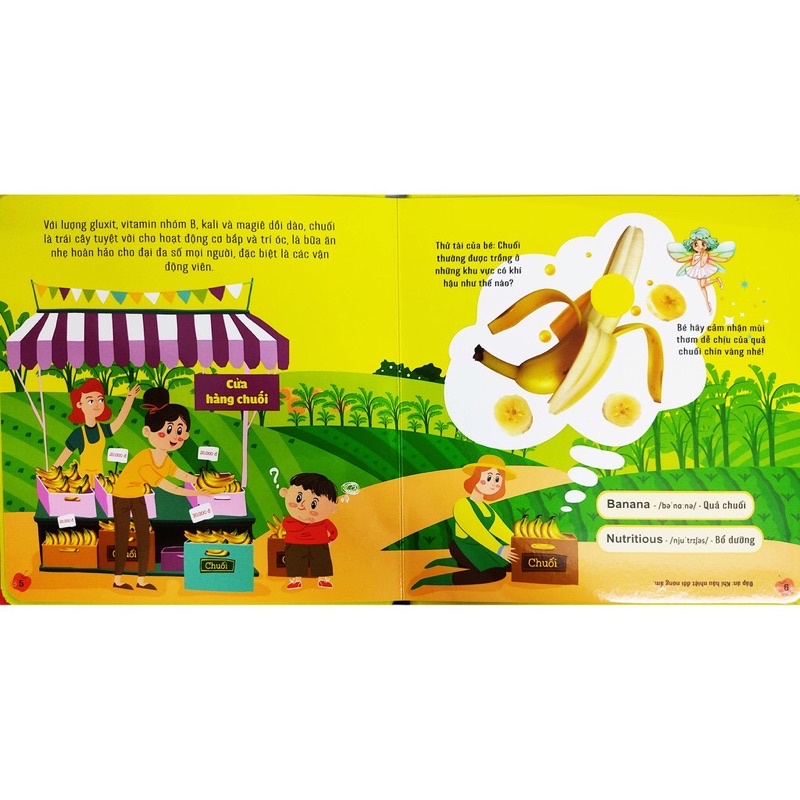 Sách-Sách mùi hương - Các loại trái cây