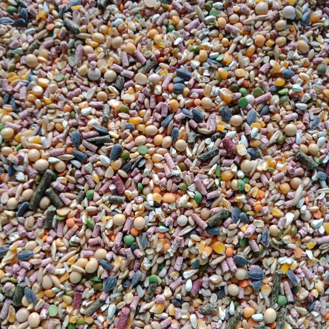 2kg NGỦ CỐC 20 LOẠI HẠT bịt 2KG