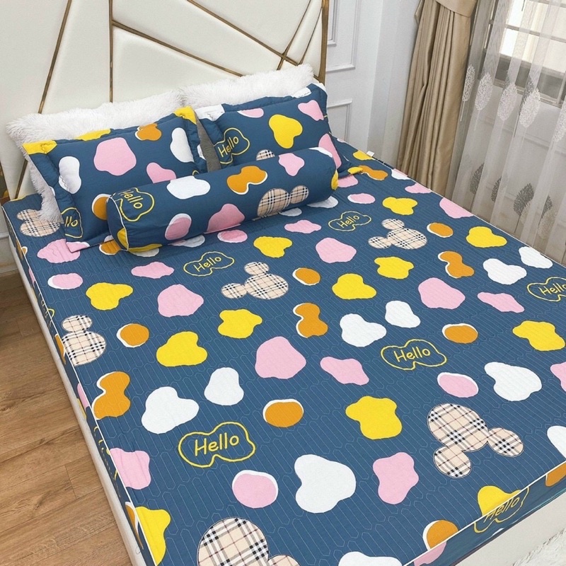 Bộ Ga Chun Trần Cotton Hàn Quốc Trần Bông Kèm 2 Vỏ Gối m6 m8 2m2 nhiều mẫu