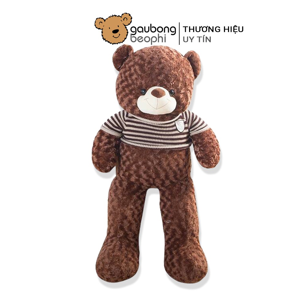 Gấu teddy áo len khổ vải 80cm shop gấu bông béo phì