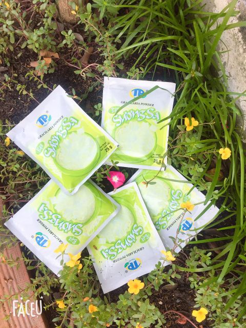 BỘT LÀM SƯƠNG SA THUẬN PHÁT GRACILARIA POWDER