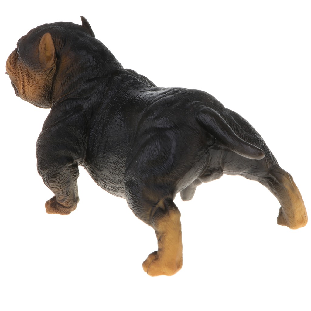 Mô hình động vật hoang dã chân thật