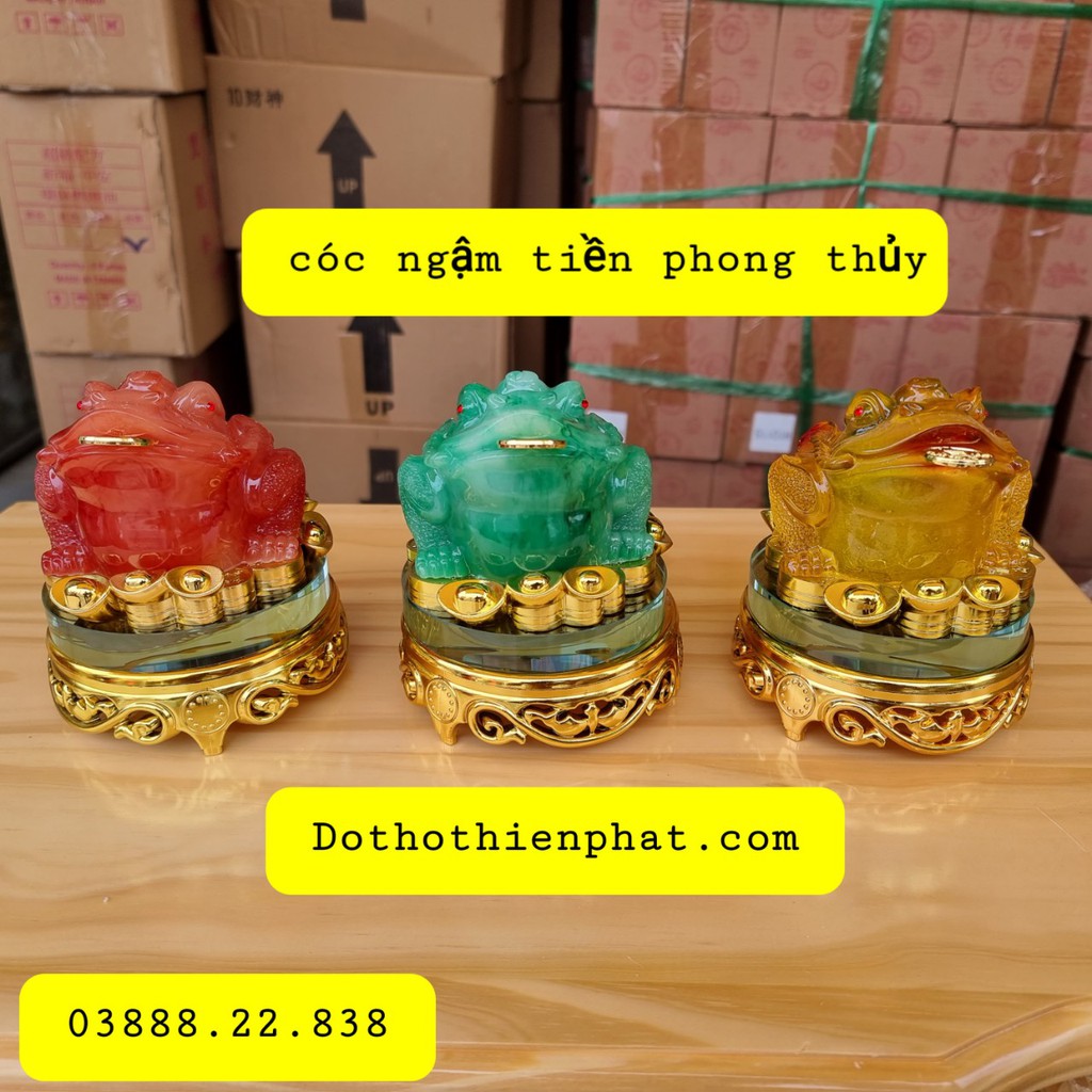 Cóc Ngậm Tiền Phong Thủy