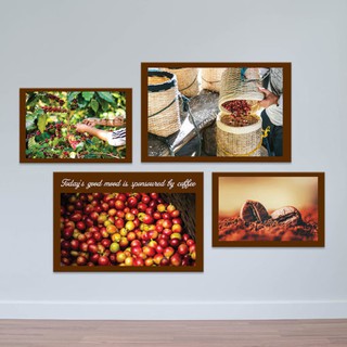 Bộ 4 tranh cho quán cà phê “thu hoạch hạt cà phê” | Tranh cây cafe W4233