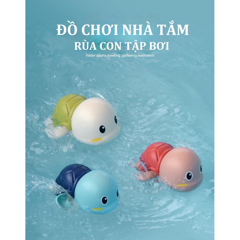 Có Video] RÙA MINI THẢ BỒN TẮM - Bơi - Chạy cót - ngộ nghĩnh