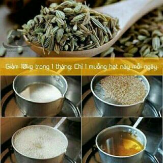 Hạt thì là (giảm cân) (trồng cây)