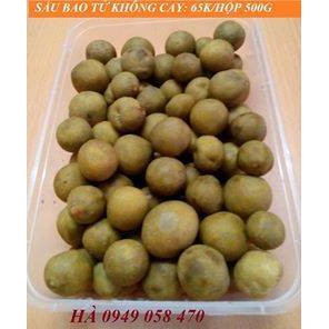 ( Freeship 50k) COMBO 1 KG Ô MAI SẤU BAO TỬ - 2 HỘP Ô MAI SẤU BAO TỬ GIÒN NGỌT CHUA CAY 500G/HỘP SIÊU HOT( hsd 6 tháng) | BigBuy360 - bigbuy360.vn