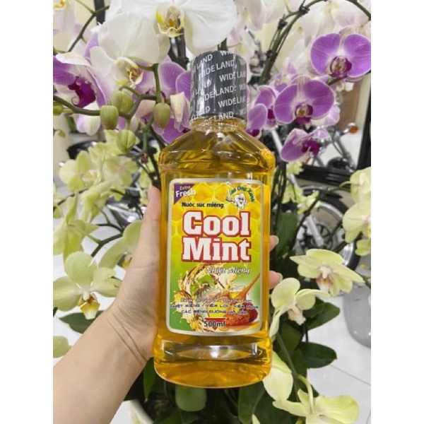 Nước súc miệng kháng khuẩn, sạch họng Cool Mint - hàng công ty Wide Land chính hãng