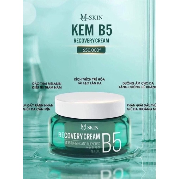 Kem B5 MQ SKIN_ Kem Phục Hồi Da B5 MQ SKIN,30gram