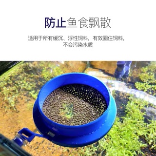 Vòng giữ thức ăn cho cá - dụng cụ giữ thức ăn cho cá