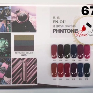 Sơn enou set 12 màu mới