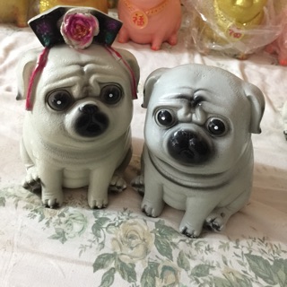 Heo đất con, heo đất cách cách