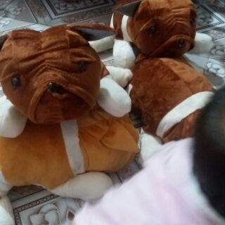 Thú bông: chó pug mặt xệ sz 40 cm