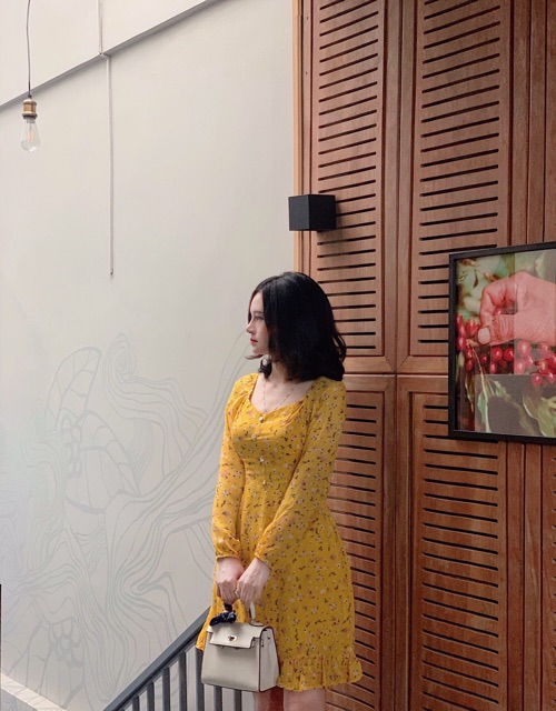 ĐẦM HOA NHÍ CHÂN BÈO