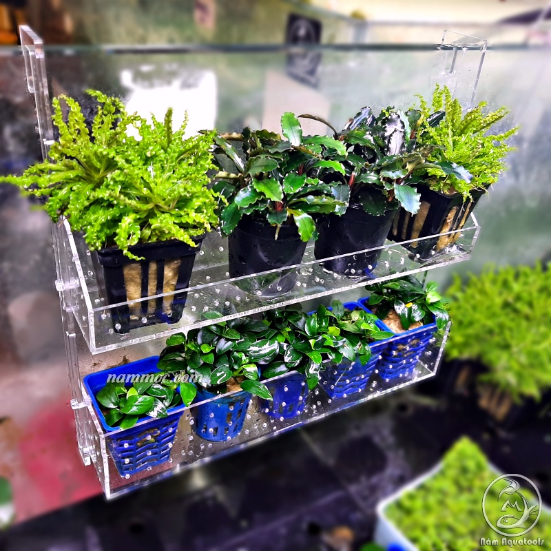 Box Treo / Kệ Treo Acrylic || Trồng Cây Thuỷ Sinh - Chứa San Hô Trang Trí Bể Cá Nước Mặn