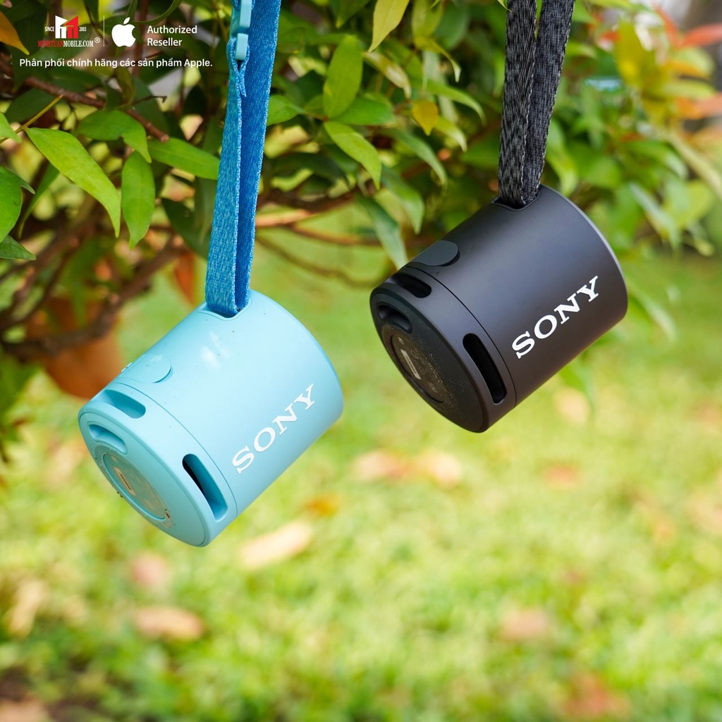 Loa bluetooth Sony SRS-XB13