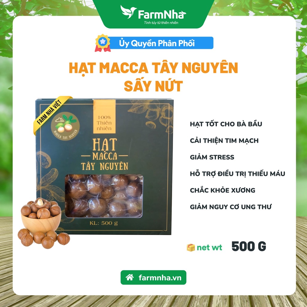 Hạt Macca Tây Nguyên Sấy Nứt Tuyển Chọn (Hộp 500gr) Có Dụng Cụ Tách Vỏ - Đạt Chuẩn Xuất Khẩu - Hàng Chính Hãng