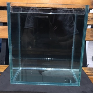 Keo beta 20x15x20cm kính 5 li và 6 li