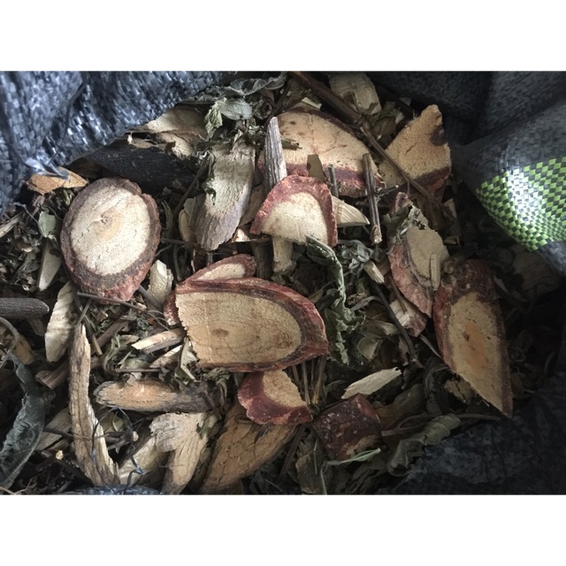 Lá tắm dao đỏ