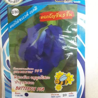ĐẬU BIẾC KÉP THÁI LAN