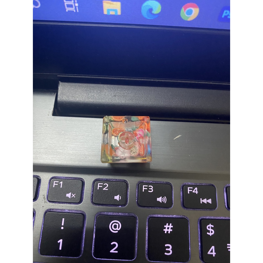 Nút bàn phím cơ. Keycap lẻ hoa quả nhiệt đới trong suốt xuyên led