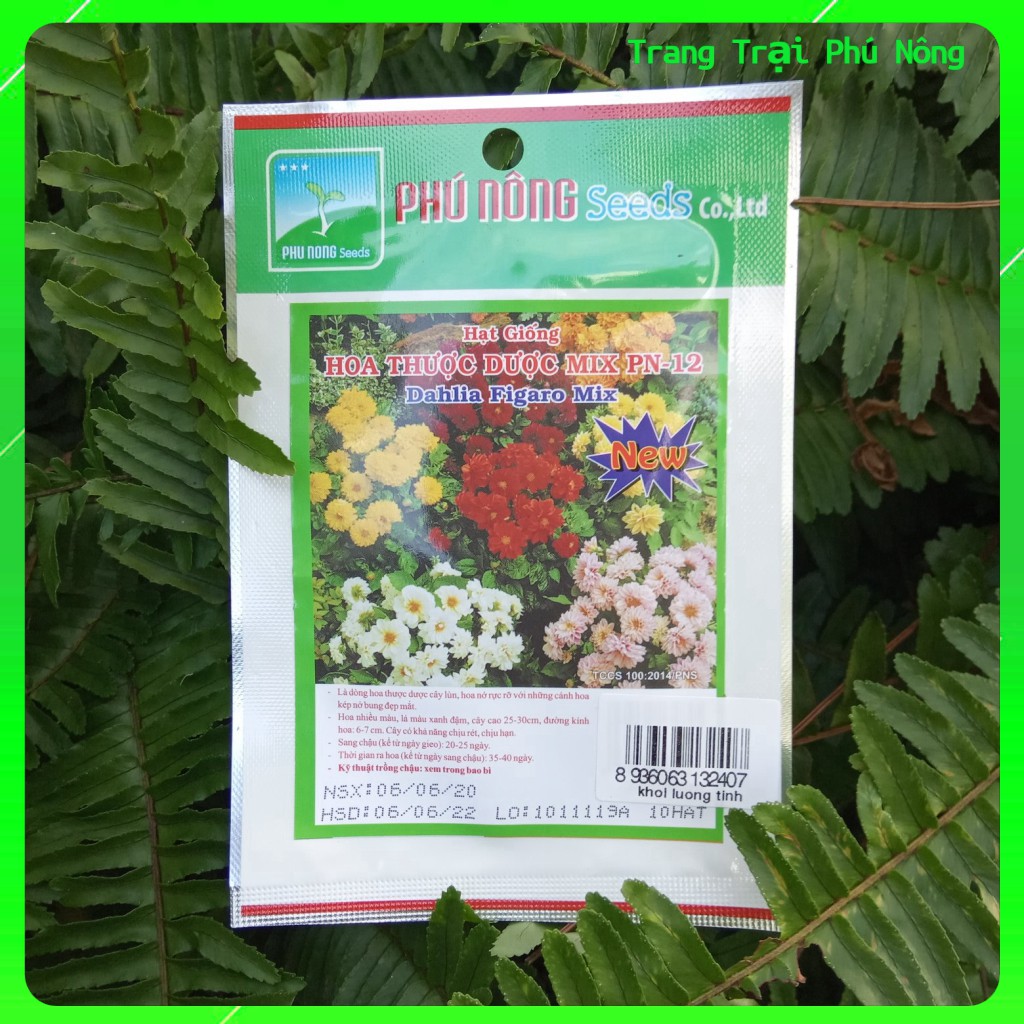 Hạt Giống Hoa Thược Dược Mix PN-12 Phú Nông - Gói 10 hạt - Dahlia Mix
