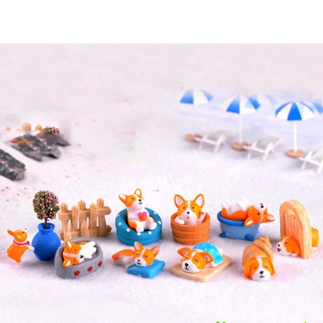 Phụ kiện chó corgi đi biển