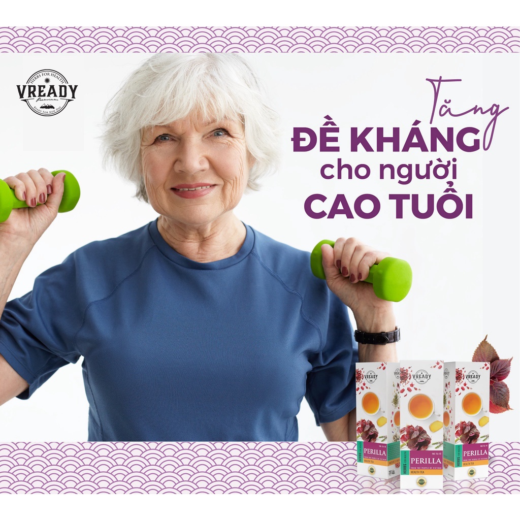 Trà Túi Lọc Tía Tô Vready - Detox, Thanh Nhiệt, Giải cảm, Tăng đề kháng hộp 20 túi