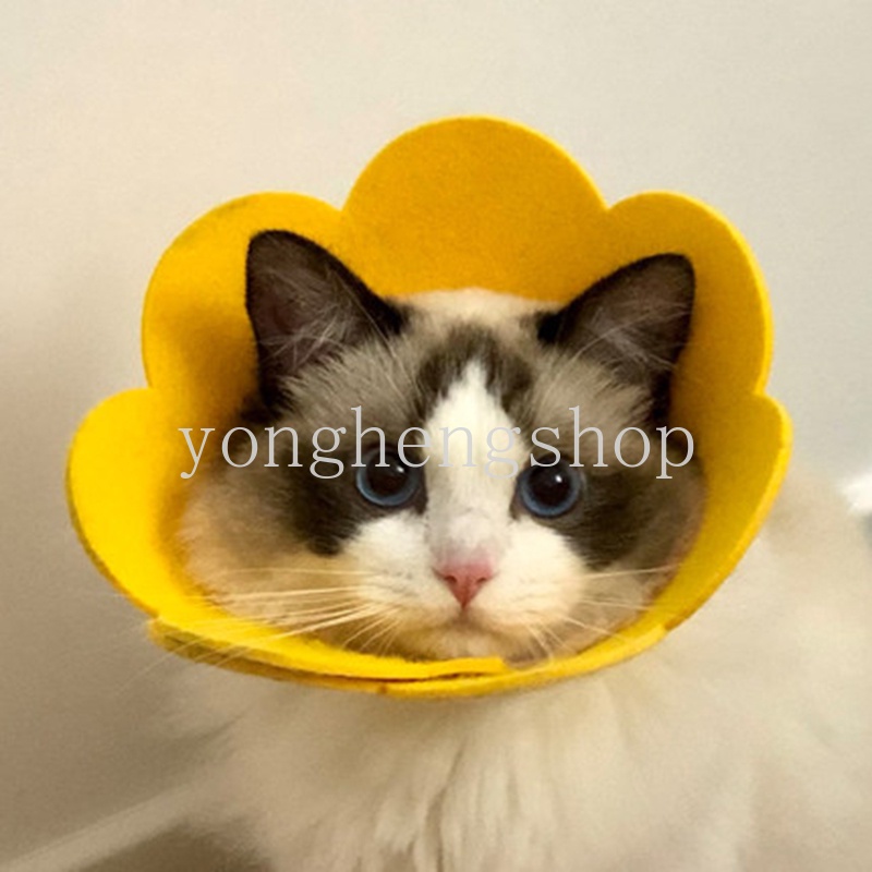 Vòng cổ chống cắn hình nón dễ thương cho thú cưng
