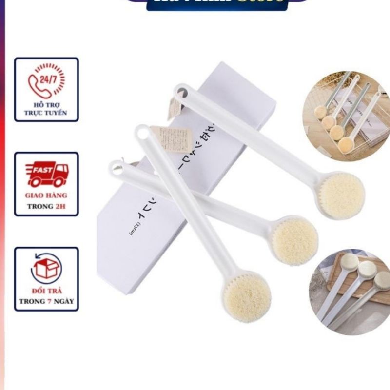 Cây Bông Tắm,Cây Cọ Lưng MUJI Nhật Bản
