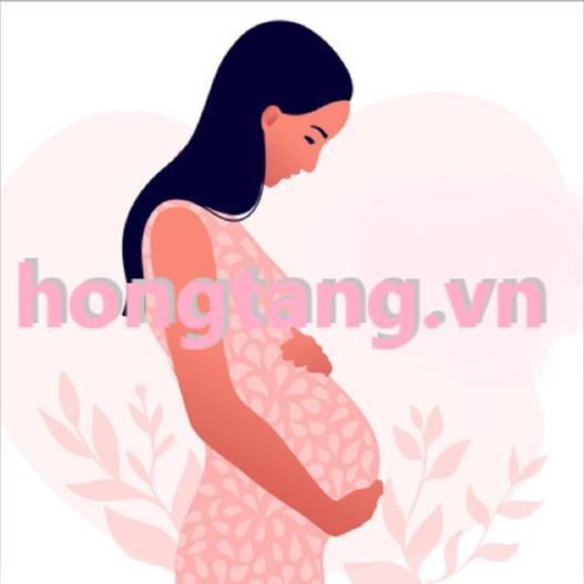hongtang.vn