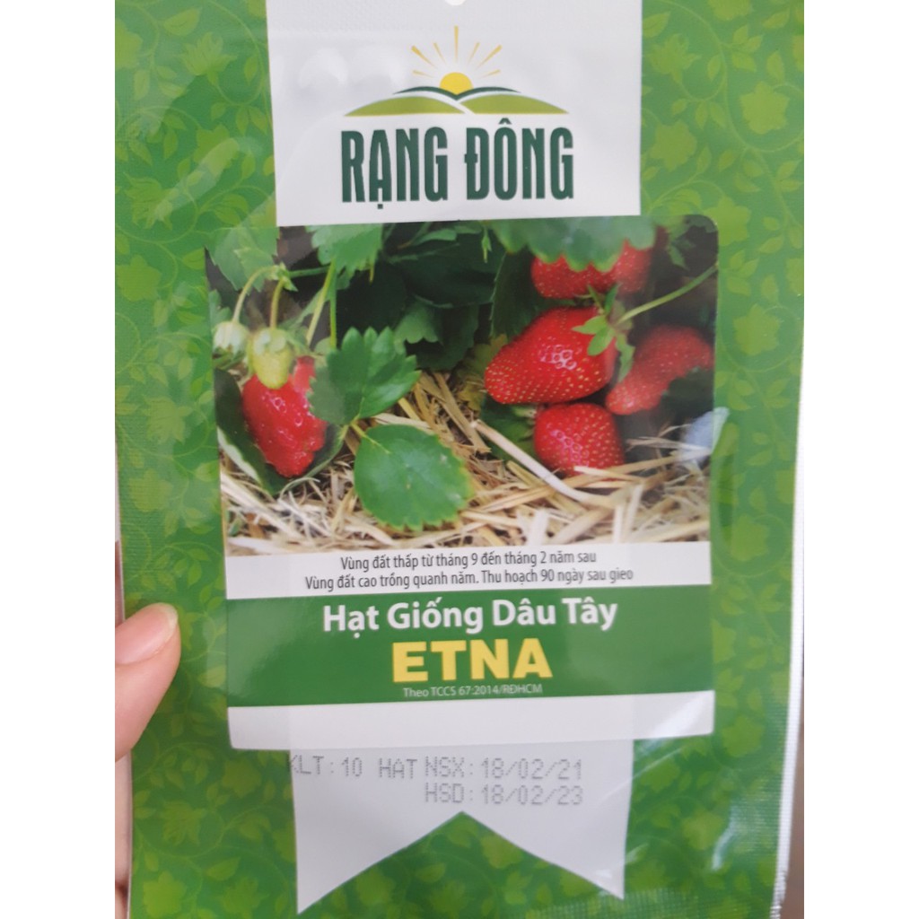 [Seeds] Hạt Giống Dâu Tây Etna chịu nhiệt, đóng gói 10 hạt