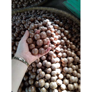 500gram Hạt Macca ĐăkLăk loại 1 chuẩn sạch