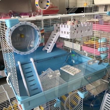 Trang trí chuồng hamster, Bệ chữ nhật 32cm x 13cm