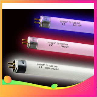 [FREESHIP] BÓNG ĐÈN ODYSSEA T5H0 6500K VÀ 10000K THỦY SINH