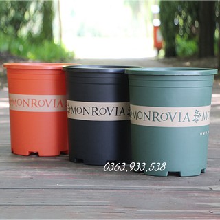 CHẬU NHỰA MONROVIA TRỒNG HOA - Tặng kèm đĩa lót