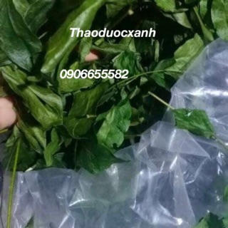 100GAM LÁ MẮC MẬT KHÔ( SẤY LẠNH) QUAY HEO,VỊT,CHÓ