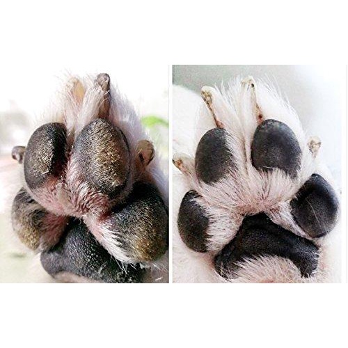 Kem phục hồi đệm bàn chân bị khô,nứt , tổn thương dành cho chó và mèo Tropiclean Spa Paw&amp;Pad