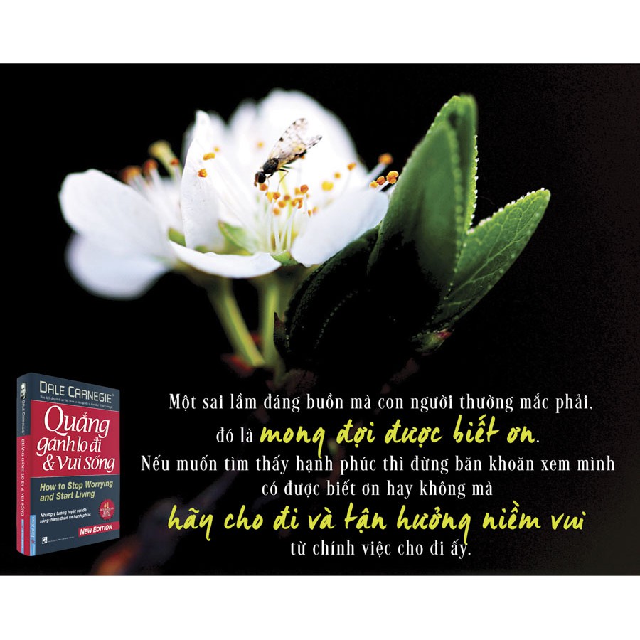 Sách - Quẳng Gánh Lo Đi Và Vui Sống (Bìa mềm) - FirstNews | BigBuy360 - bigbuy360.vn