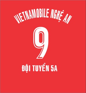 Áo bóng đá Việt Nam 2020 ( in ấn theo yêu cầu)