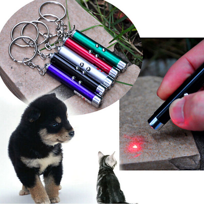 Đèn Laser Đồ Chơi Tương Tác Vui Nhộn Cho Mèo